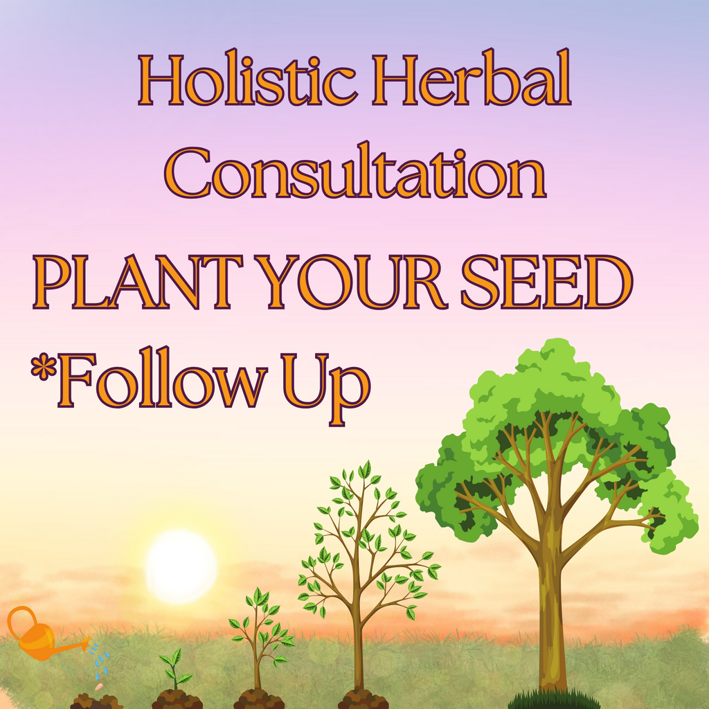 Plant Your Seed - Follow Up